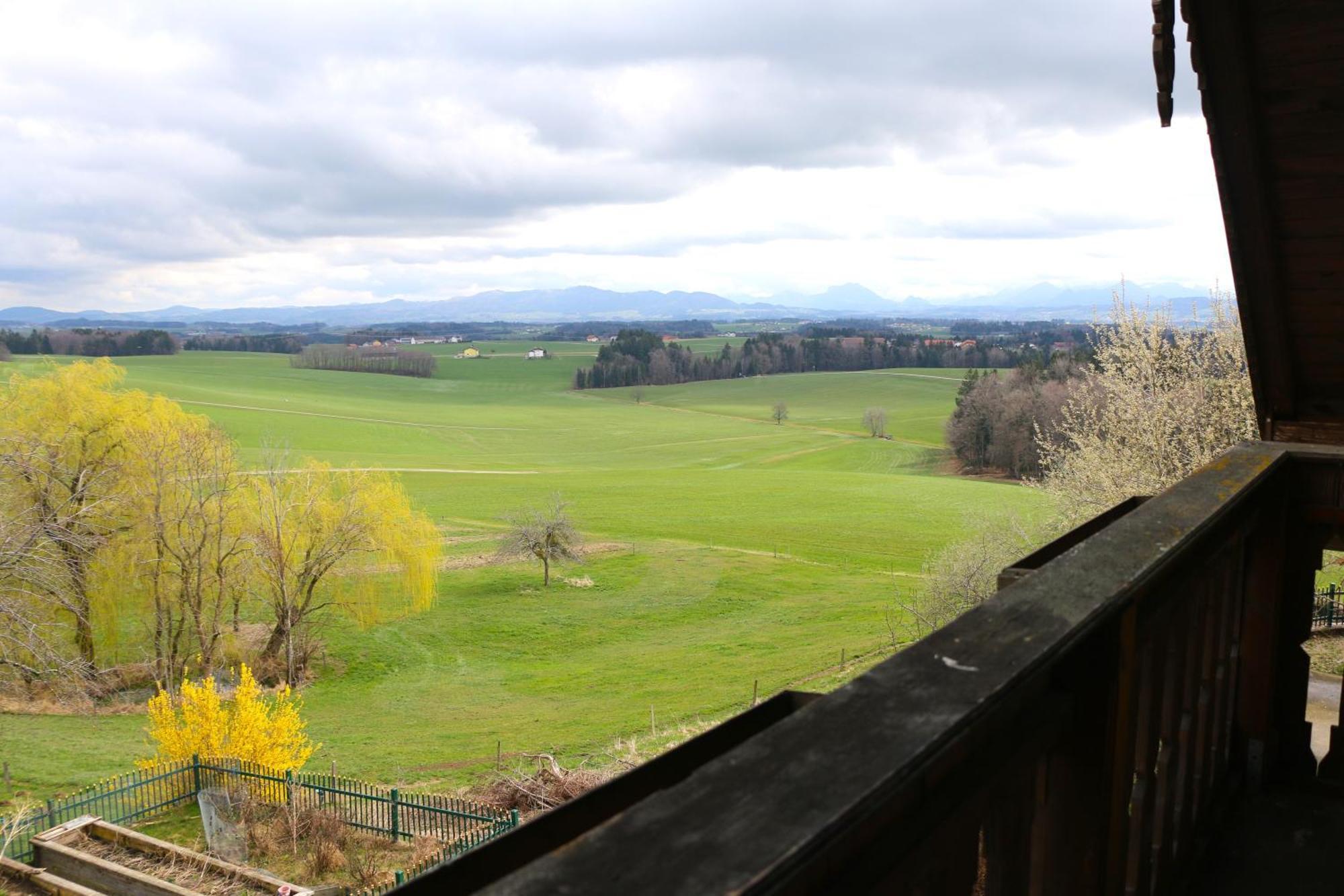 Ferienwohnung Am Bio-Bauernhof Obertrum am See Bagian luar foto