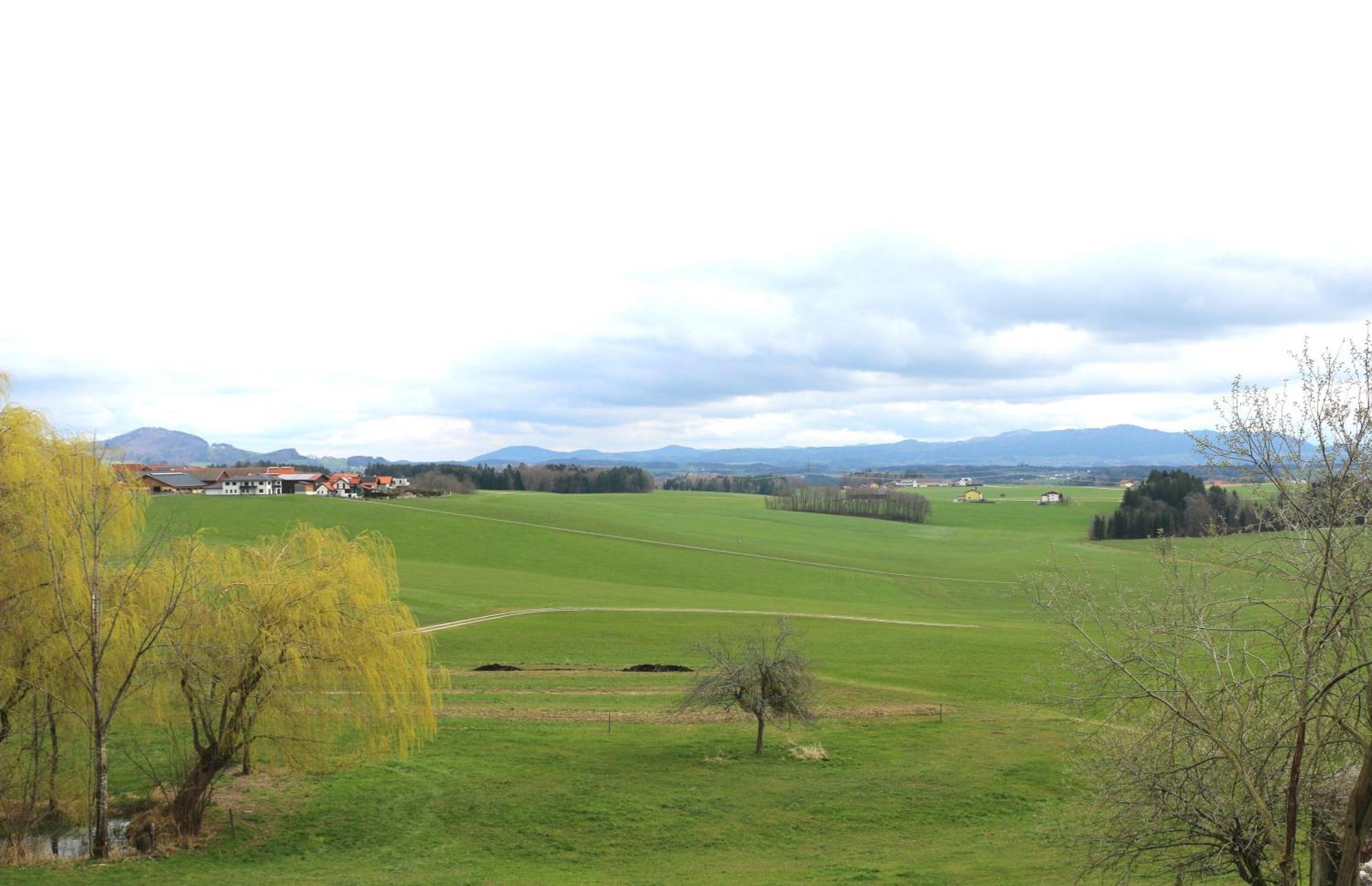 Ferienwohnung Am Bio-Bauernhof Obertrum am See Bagian luar foto